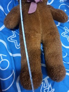 Big Size Teddy Bear