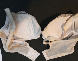 Imported Pushup Bra