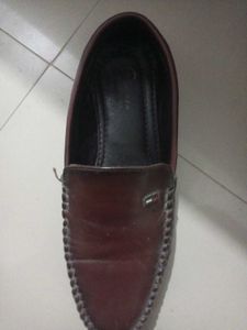 Tommy Hilfiger Brown Loafers