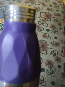 Stainless Steel Water Bottle