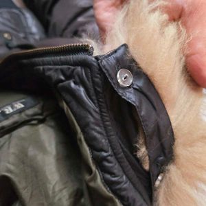 Stylish Black Jacket