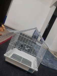 Birds Cage