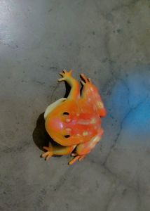 Animals
