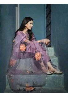 New Organza Kurta Set