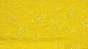 Beautiful Lemon Yellow Saree With White Stone Work