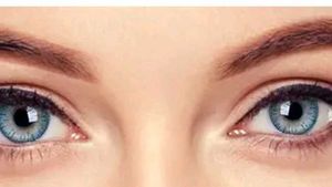 Monthly Contact Lens 0 Power