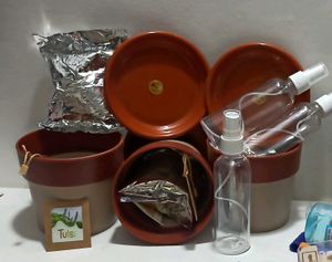 Tulsi Growing Kit
