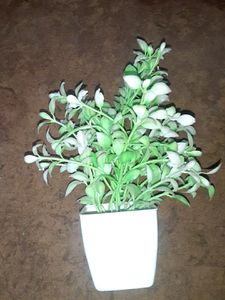 Artificial Flower Pot (Green)