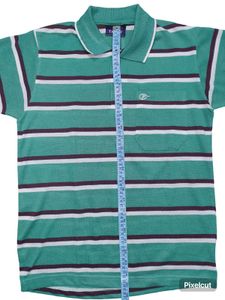 Striped Polo Shirt