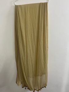 Elegant Salwar Kameez Suit