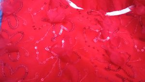 Very Beautiful Net Frock