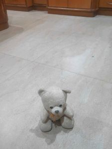 White Colour Teddy Bear