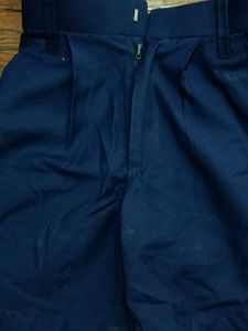 Navy Blue Pleated Shorts