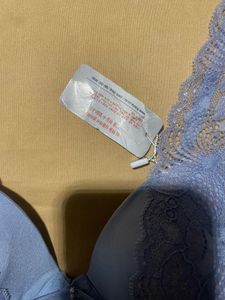 Blue Lace Korean Brand Bra
