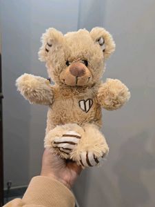 Cute Teddy Bear
