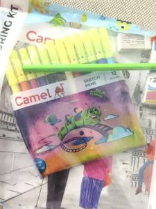 Camel Coloring Kit