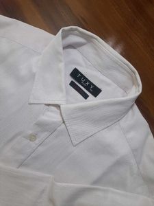 Light Pink Formal Shirt