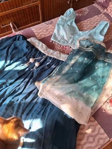 Beautiful Lahenga Choli