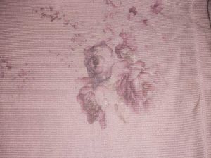 Floral Long Sleeve Top