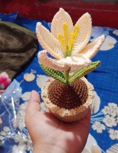 Lily Flower With Pot