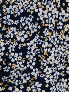 Ginger Women Blue Viscose Floral Printed Dress