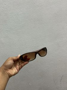 Brown Sunglasses