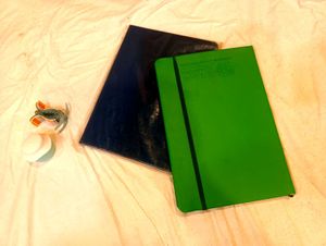 Pack Of 8 New Diaries