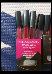 Liquid Lipstick Bundle