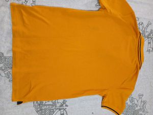 Branded Polo T Shirt For Boys 8/9