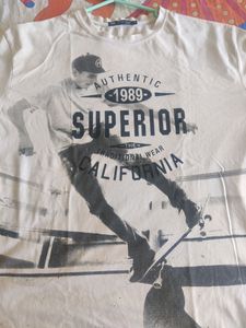 Men Regular Tshirt