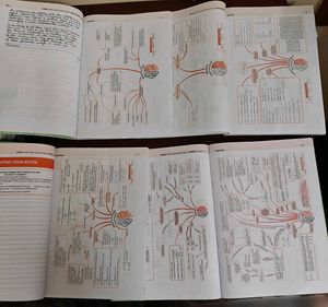 CBSE Class 12 Oswaal 2025 Combo (4 Books) – Latest