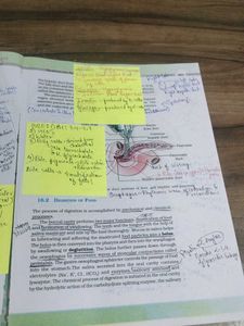 NCERT BIOLOGY CLASS 11th