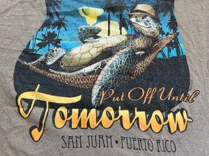 San Juan Turtle Graphic Tee