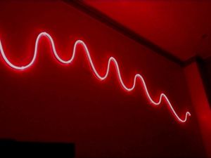 Led Neon Strip Light 5M