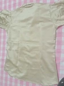 Elegant Cream Puff Sleeve Blouse