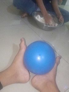 Sijs