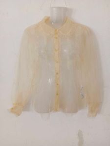 zara sheer organza shirt