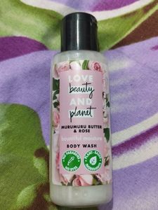 Shampoo and Body Wash