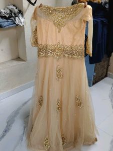 Elegant Ethnic Gown