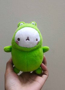 Cute molang in frog costume 🐸