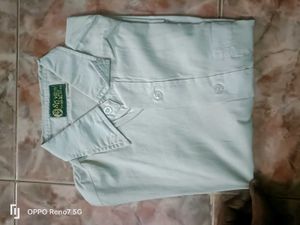 Formal Half Sleeve Shirt