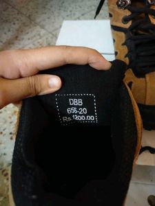 Men Trekking Shoes(Woodland Copy)