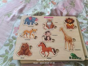 6 Activity Board