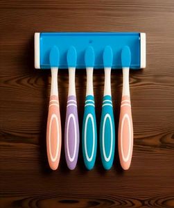 Toothbrush Holder & Brushes