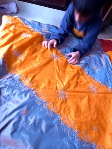 Dubble Colour Saaree With Blouse.