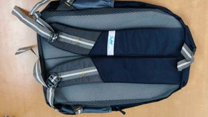 Skybags Backpack