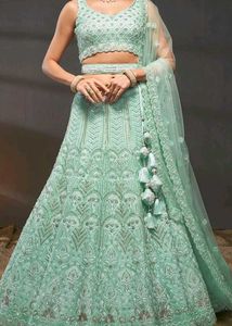 Mint Green Embellished Lehenga Choli