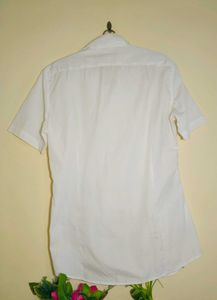 mens short sleeve shirt
