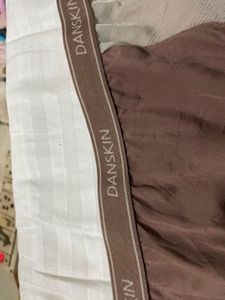 Danskin Beige Briefs 30-32
