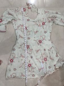 Embroidered Light Green Dress